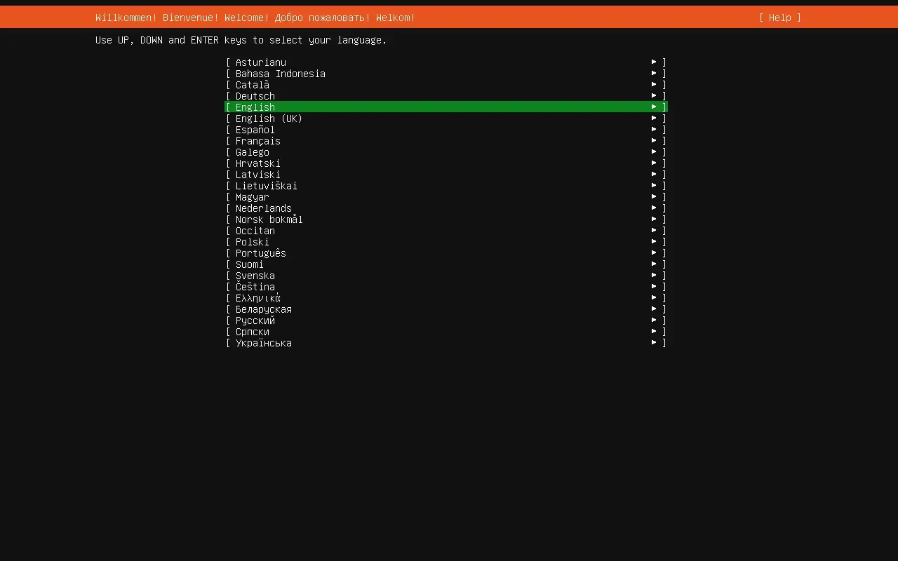 Choix de la langue dans l'installateur Ubuntu Server 26.04