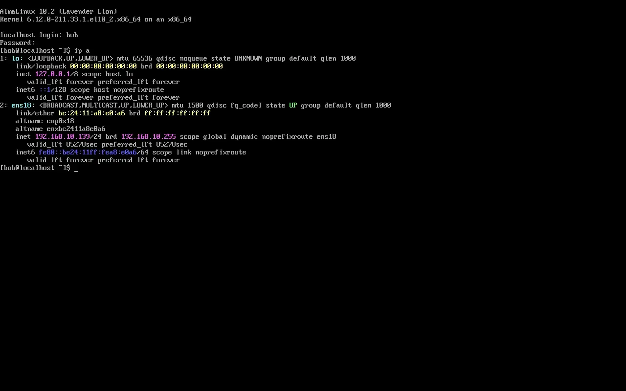 Premier démarrage d'AlmaLinux 10, version du noyau et adresse IP