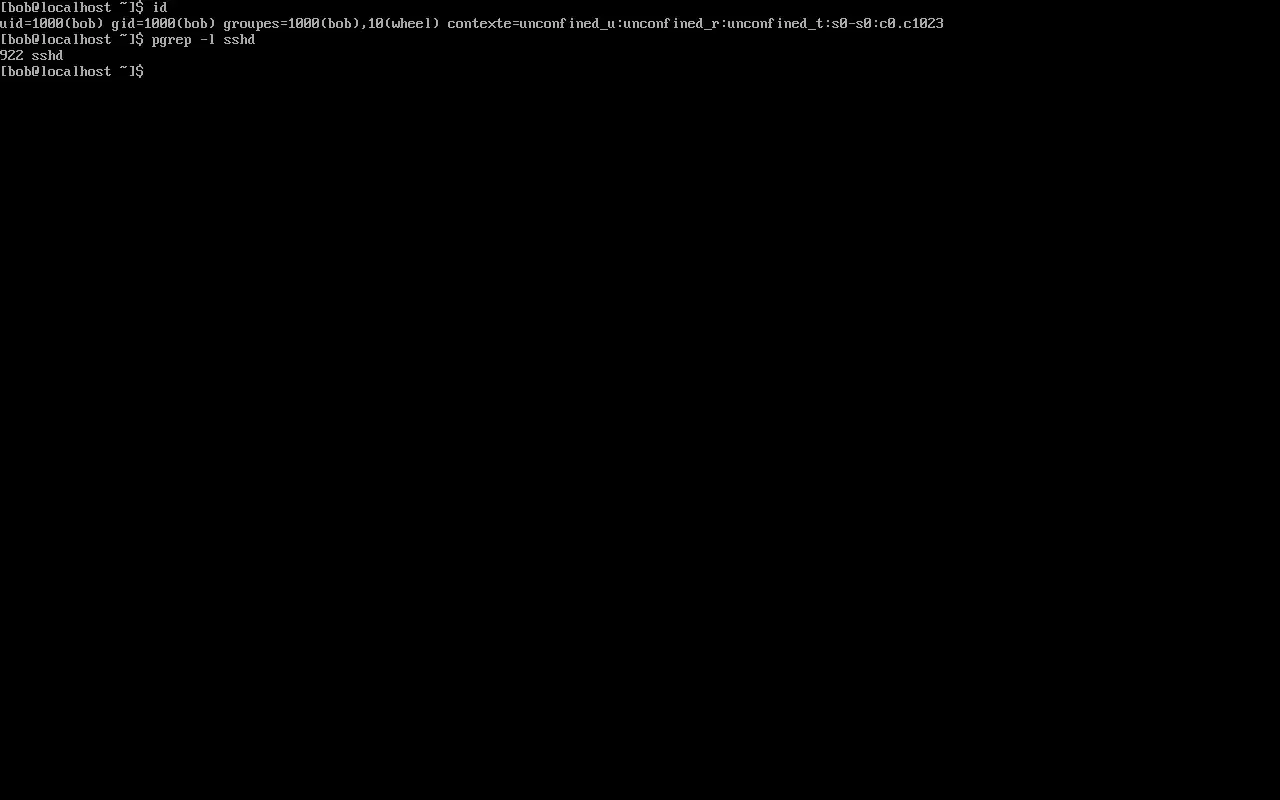 Vérification des droits sudo et du service SSH sur AlmaLinux 10