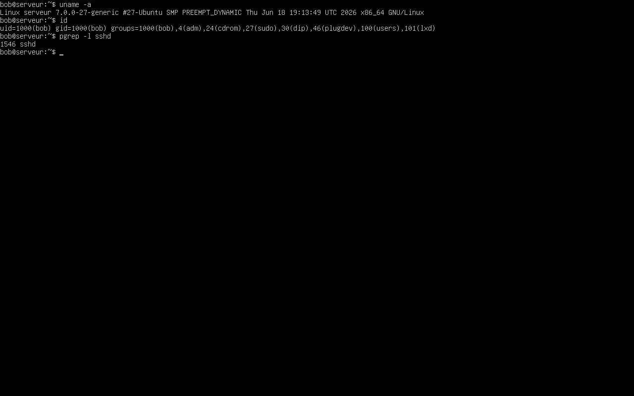 Première connexion et commandes de vérification sur Ubuntu Server 26.04