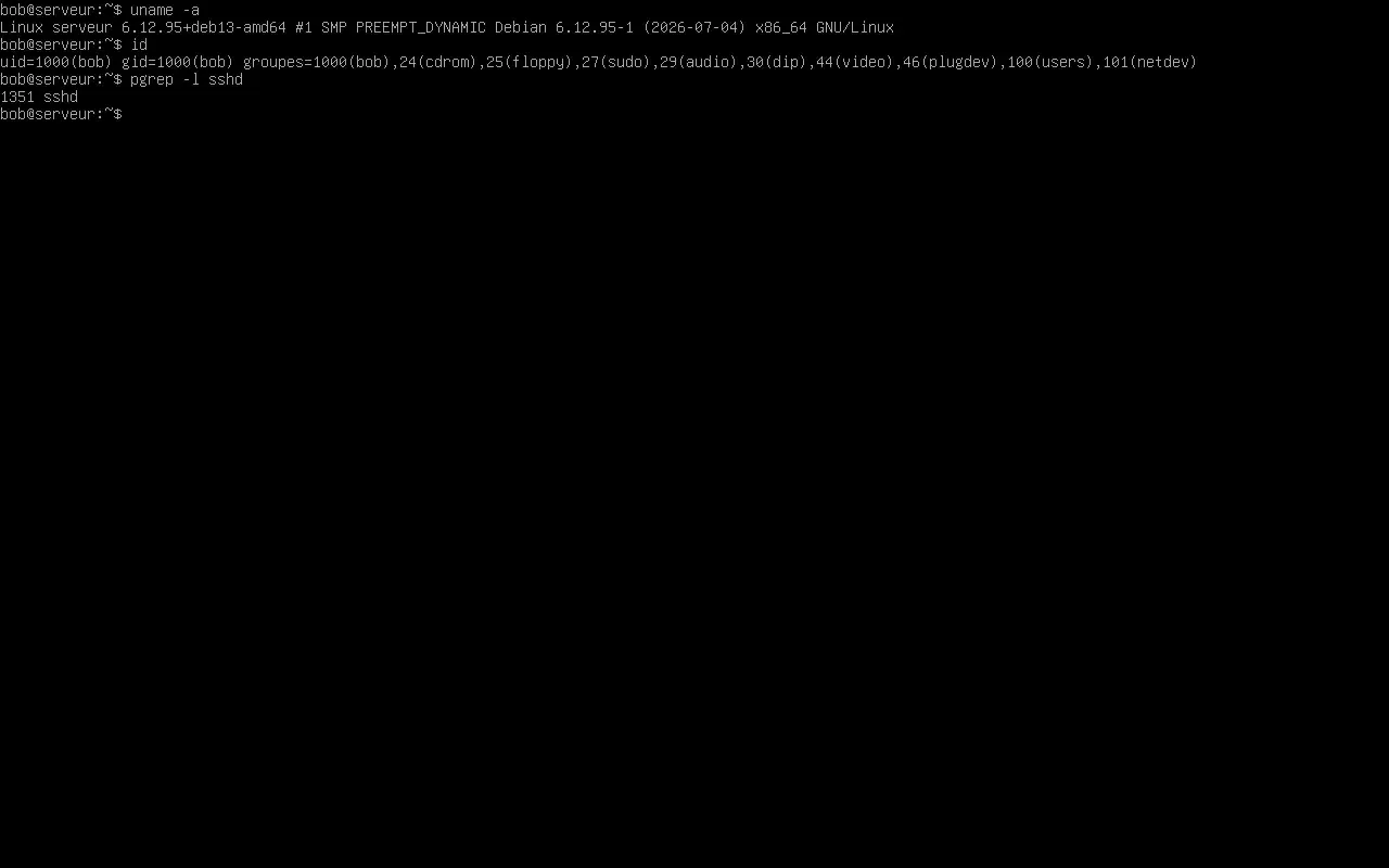 Première connexion et commandes de vérification sur Debian 13