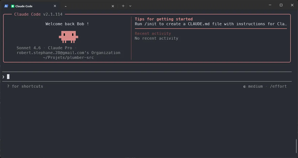 CLI Claude Code prête à l'emploi