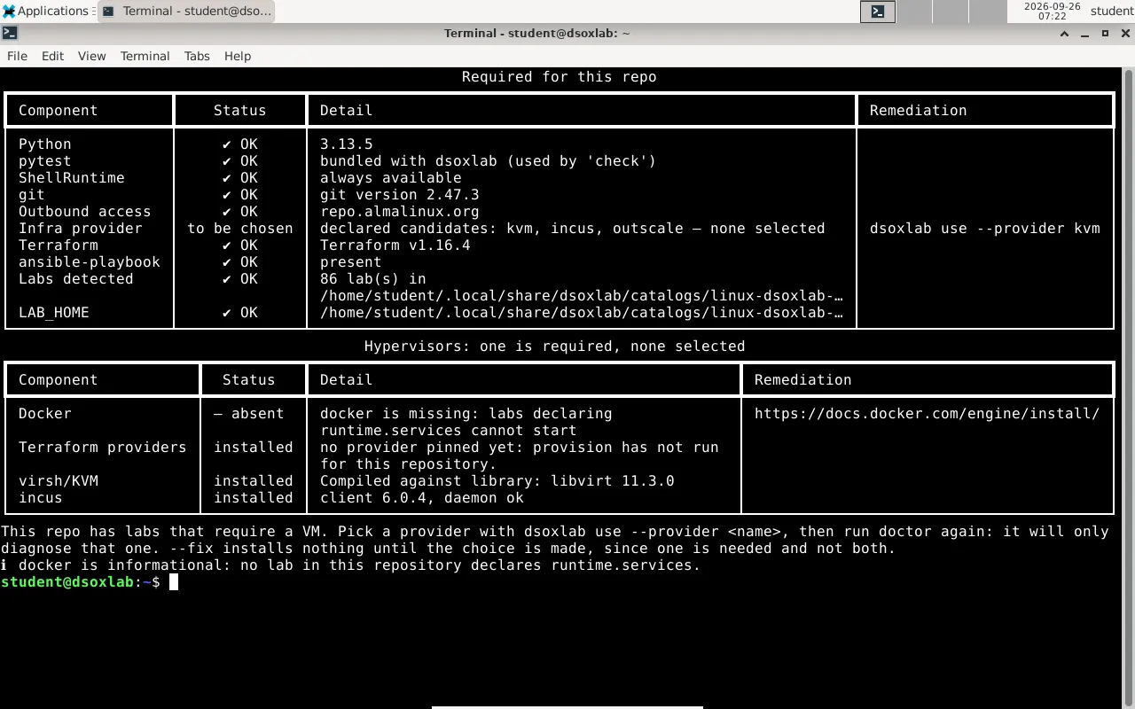 Le bureau XFCE de l'appliance, avec le terminal ouvert et la barre de lanceurs en bas de l'écran
