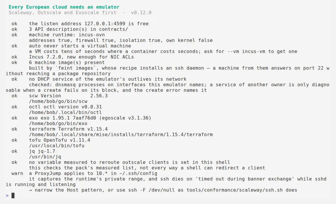 Rapport de diagnostic de feint 0.13.0 : port libre, descriptions d'API trouvées, runtime incus-ovn avec ses capacités, clients officiels détectés, et l'avertissement sur le ProxyJump SSH