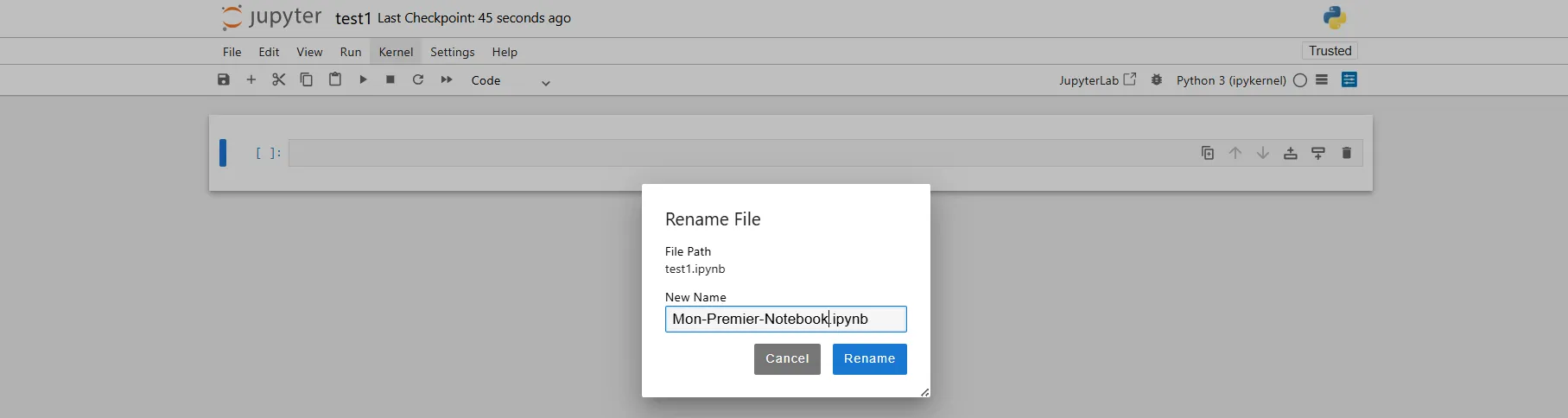 Renommer Notebook