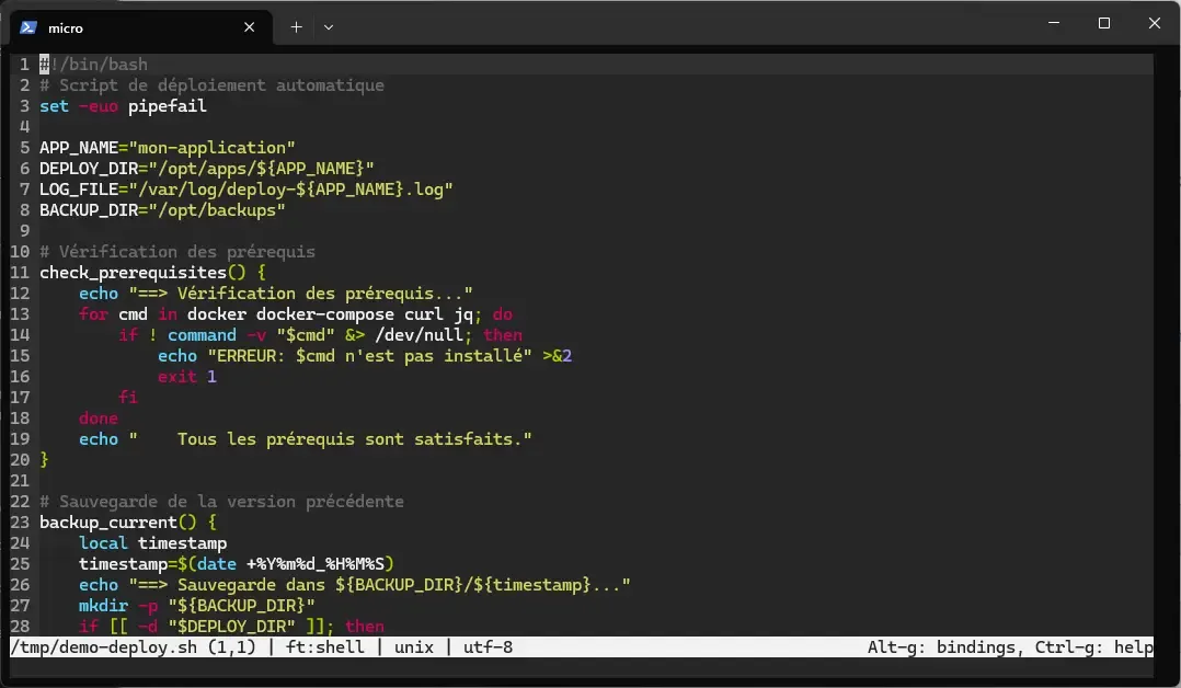 Interface de micro avec coloration syntaxique bash, numéros de ligne et barre de statut