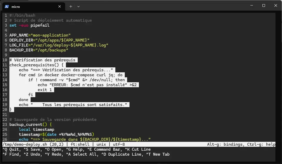Sélection de texte surlignée dans micro avec Shift+Flèches sur un bloc de code