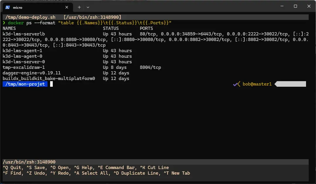 Terminal intégré dans micro : code en haut et shell interactif en bas dans un split horizontal