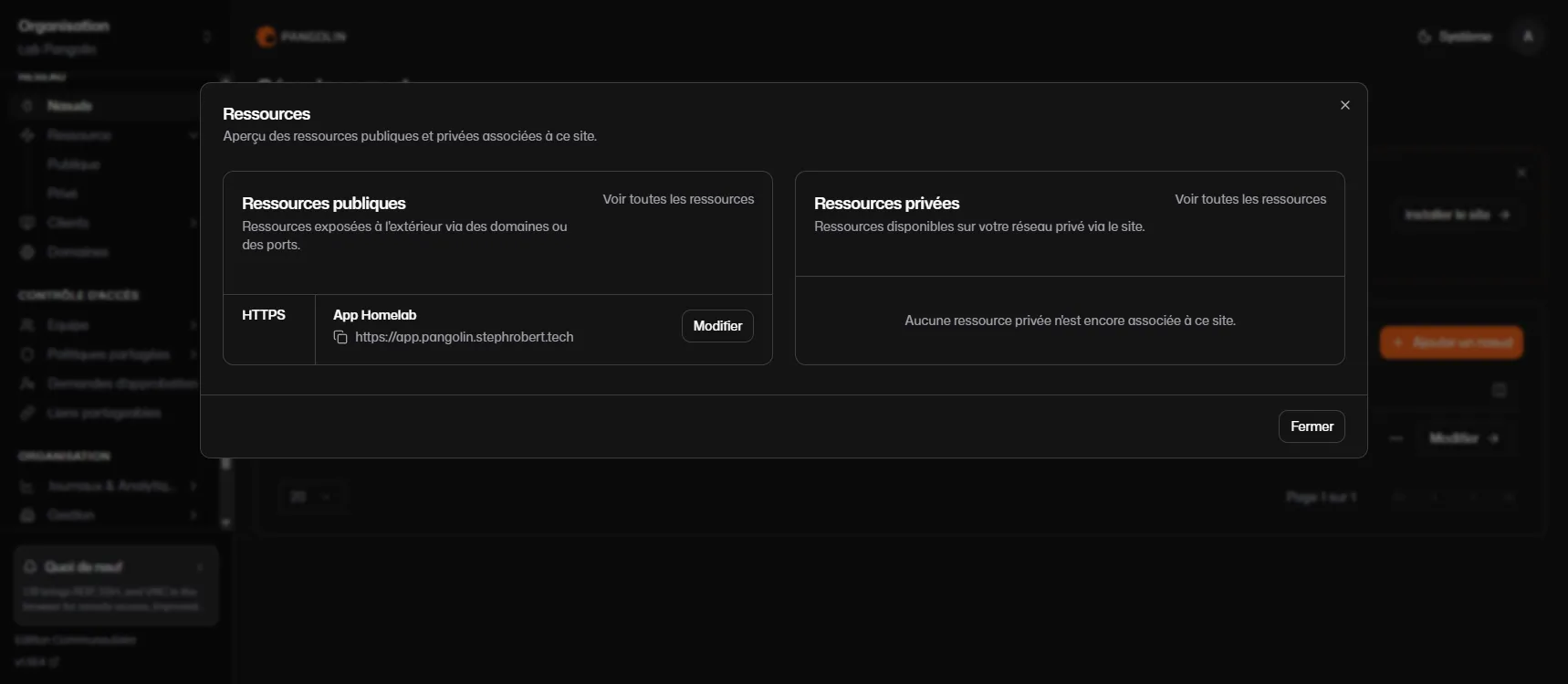 Ressource App Homelab exposée en HTTPS via Pangolin