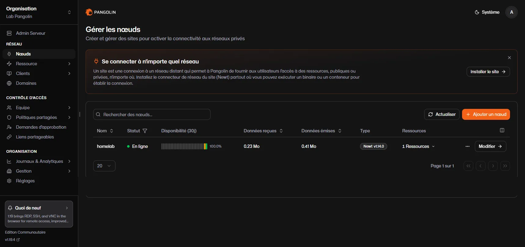 Vue des nœuds Pangolin : le site homelab est en ligne, connecté via Newt
