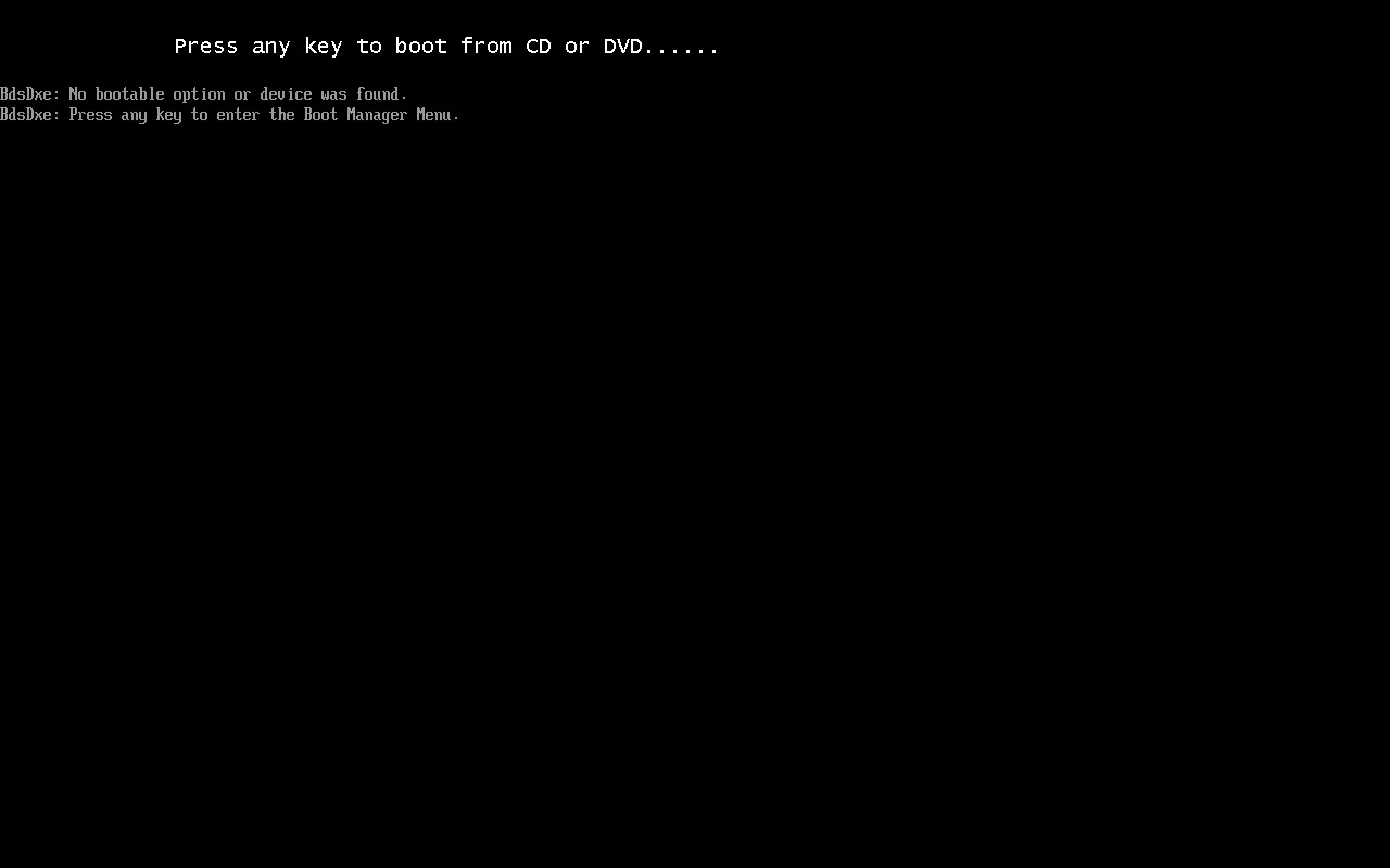 Écran UEFI : « No bootable option or device was found » après le « Press any key to boot from CD »