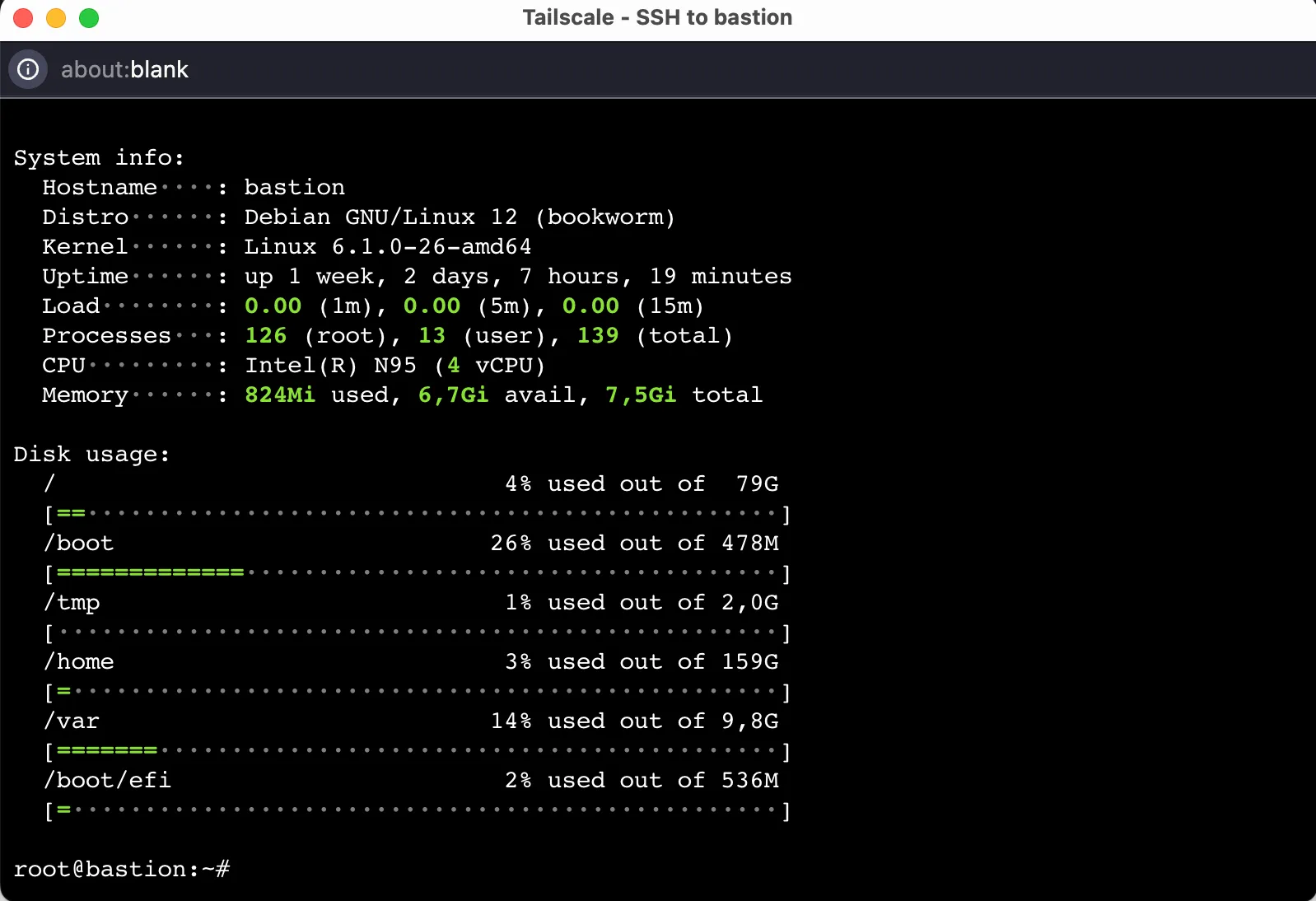 Terminal integré tailscale